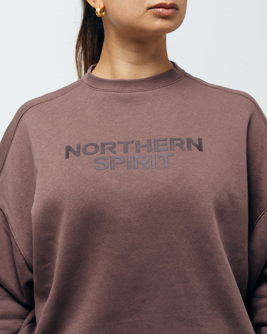 Unisex Cozy Oversized Sweatshirt - Brick Brown