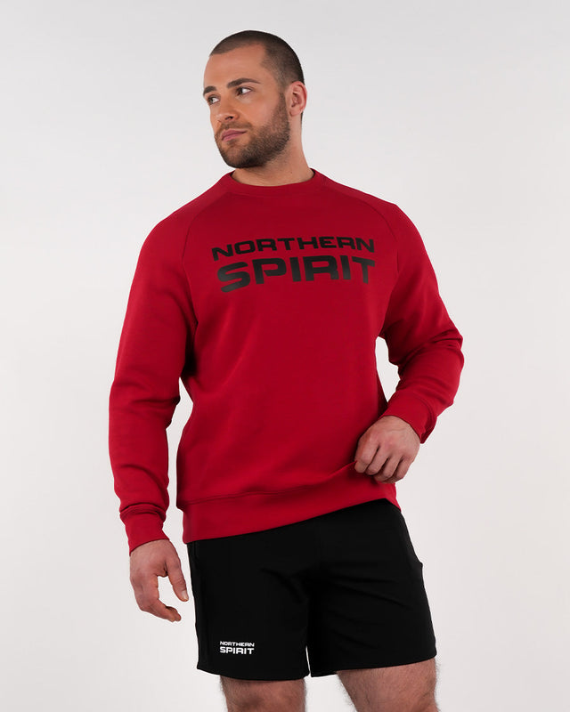 NS Squad - unisex regular fit Sweatshirt